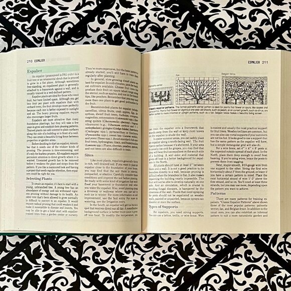 Rodale's All-New Encyclopedia of Organic Gardening - Picture 2 of 2